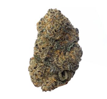 KAMIKAZI ORANGEADE 2.JPG 380 2 350x324 - Orangeade - AAA+ - $150/Oz