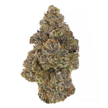 KAMIKAZI PLATINUM KUSH BREATH 1.JPG 748 2 350x350 - Platinum Kush Breath - AAAA+