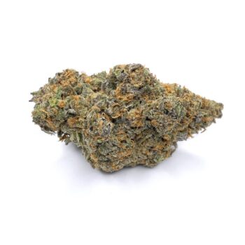 KAMIKAZI LEMON SKUNK 1.JPG 1853 2 350x350 - Lemon Skunk - AAAA