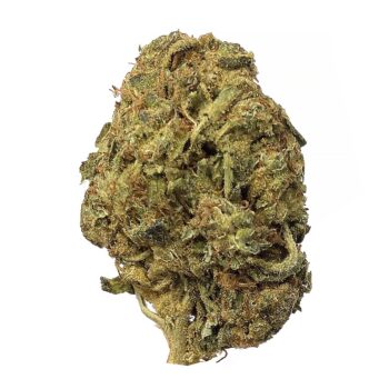 KAMIKAZI SHISHKABERRY 1.JPG 467 2 350x350 - Shishkaberry - AA+ - $65/Oz