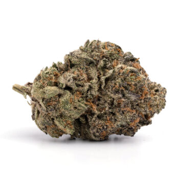 Jet Fuel Gelato 2 1 350x350 - Jet Fuel Gelato