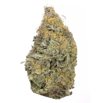 KAMIKAZI TWISTED MONKEY 1.JPG 744 2 350x350 - Twisted monkey - AAAA - $180/Oz