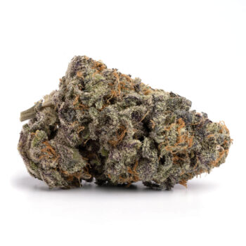 Purple Urkle 1 350x350 - Purple Urkle