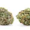 Critical Kush 2 100x100 - Critical Kush