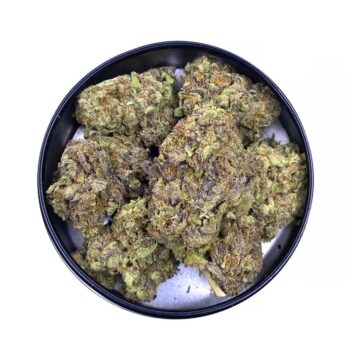 KAMIKAZI PAPAYA 2.JPG 4872 2 350x350 - Papaya - AAA - $100/Oz