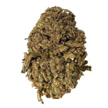 KAMIKAZI LEMON KUSH 1.JPG 449 2 350x350 - Lemon Kush - AA - $45/Oz