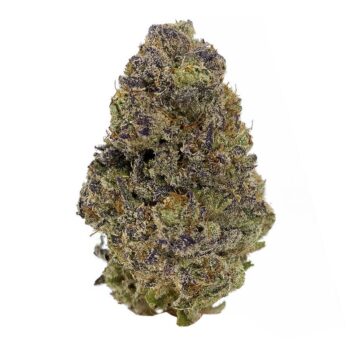 KAMIKAZI PLATINUM KUSH BREATH 2.JPG 793 2 350x350 - Platinum Kush Breath - AAAA+