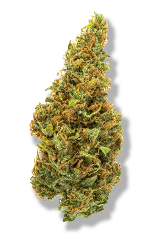 4 564x800 - Leafly - GasDank Comparison - Weed Dispensary Canada