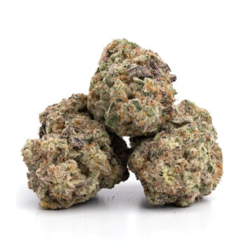 Mendo Breath 7 350x350 - Mendo Breath