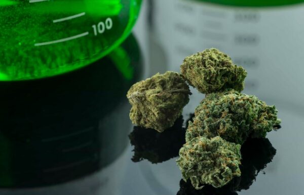 Transparent Cannabis: Cannabis Potency Testing