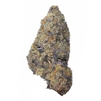 KAMIKAZI STRAWBERRY COUGH 2.JPG 611 2 350x350 - Strawberry Cough - AAA+ - $140/Oz