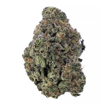 KAMIKAZI ARJANS HAZE 2.JPG 615 2 350x350 - Arjan’s Haze - AAA+