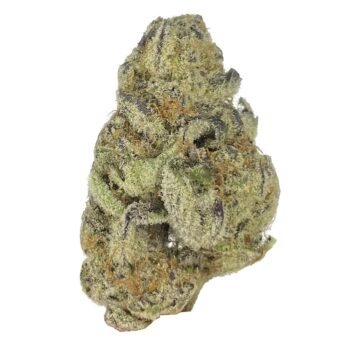 KAMIKAZI STRAWBERRY KUSH CAKE 13.JPG 642 2 350x350 - Strawberry Kush Cake - AAAA+