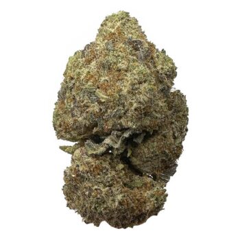 KAMIKAZI GHOST OG 12.JPG 634 2 350x350 - Ghost OG - AAA+ - $150/OG