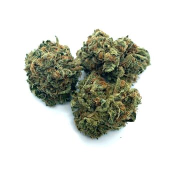 KAMIKAZI CHERRY KUSH.JPG 1588 350x350 - Cherry Kush - AA - $65/Oz