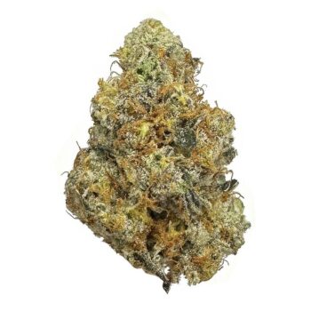 KAMIKAZI GARLIC BREATH 12.JPG 581 2 350x350 - Garlic Breath - AAAA - $190/Oz