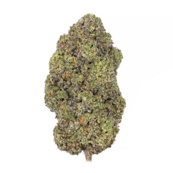 KAMIKAZI BLUE AMNESIA HAZE 1.JPG 1494 2 350x350 - Blue Amnesia Haze - AAA+