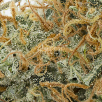 Cannatonic Macro 350x350 - Cannatonic