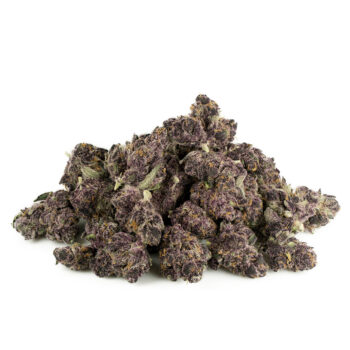 Huckleberry Soda Smalls 350x350 - Huckleberry Soda (Smalls)