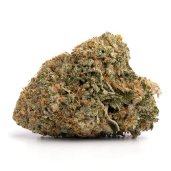 Headband 2 350x350 - Headband