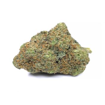 KAMIKAZI PURPLE URKLE 1.JPG 1590 2 350x350 - Purple Urkle - AAA