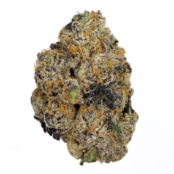 KAMIKAZI PBRS 2.JPG 663 2 350x350 - Purple Berry Skunk - AAAA+