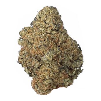 KAMIKAZI OG KUSH 3.JPG 359 2 350x350 - OG Kush - AAA