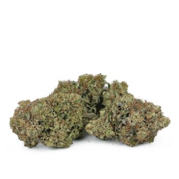 Pink Gas Mask Strain 2 350x350 - Pink Gas Mask