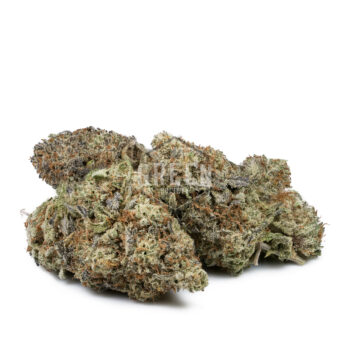 Russian Rocket Fuel by Short Stuff Seedbank 2 350x350 - Russian Rocket Fuel by Short Stuff Seedbank