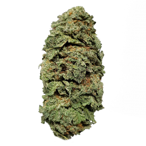 Weed Delivery GasDank | Toronto's Best Online Dispensary