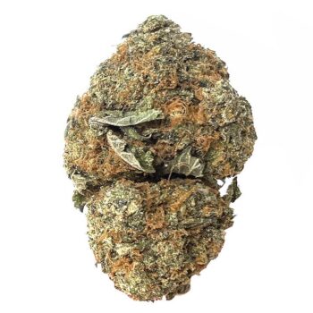 KAMIKAZI GIRL SCOUT COOKIES 1.JPG 413 2 350x350 - Girl Scout Cookies - AA+ - $80/Oz