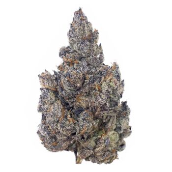 KAMIKAZI PINK SHERBET 1.JPG 549 2 350x350 - Pink Sherbet - AAAA - $200/Oz