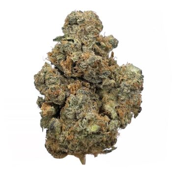 KAMIKAZI SD2.JPG 490 2 350x350 - Sour Diesel - AAA - $100/Oz