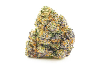 Purple Monkey