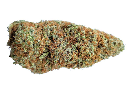 gelato cannabis strain review 6 - Gelato Dream -Bulk
