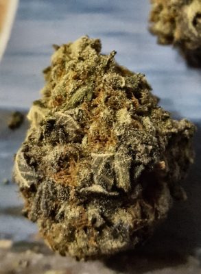 Examen de la variété de cannabis Death Bubba