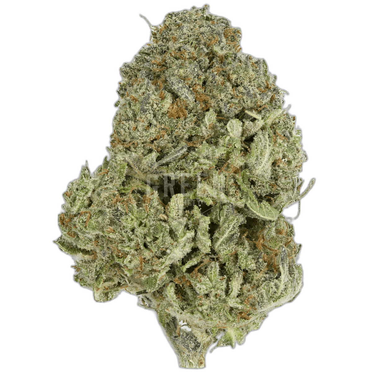 Tropic Thunder Strain