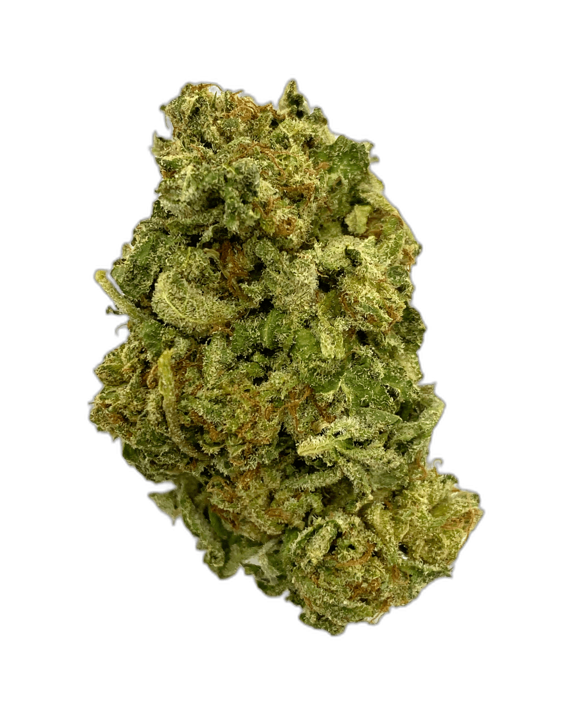Frosted Kush strain