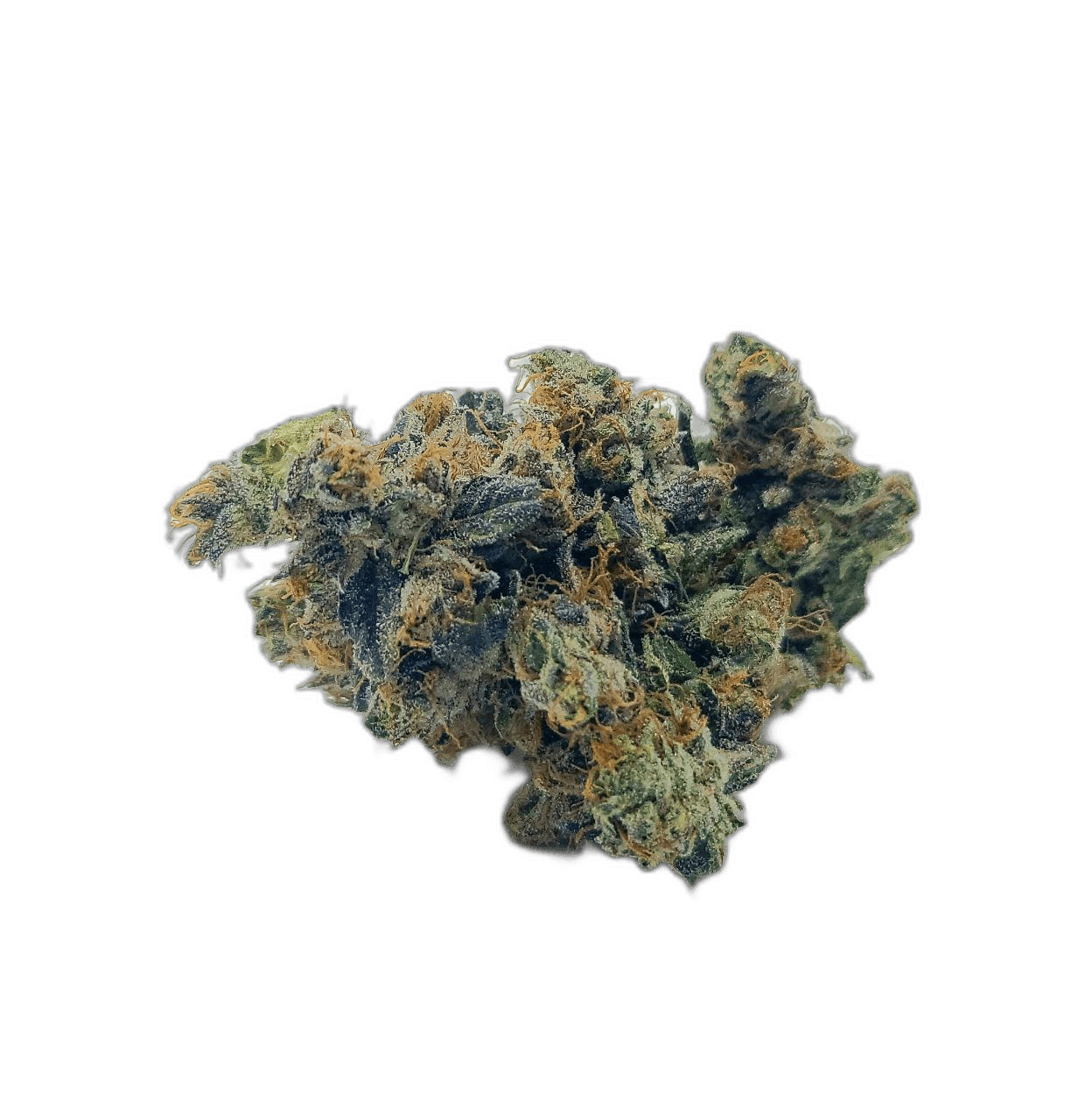 bordello   super criticalrudeboi OG