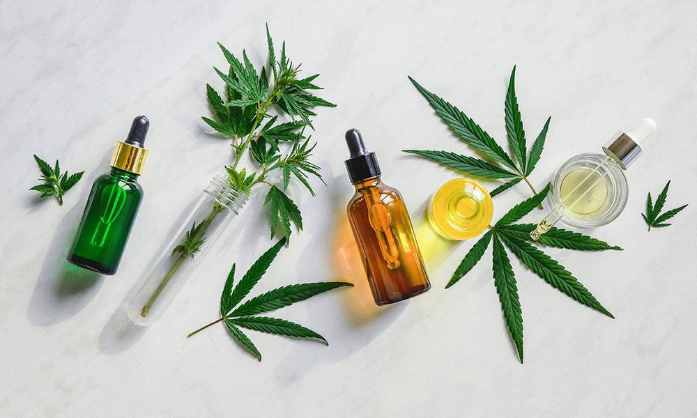 Best CBD Oil for Pain Relief: How to Choose Well