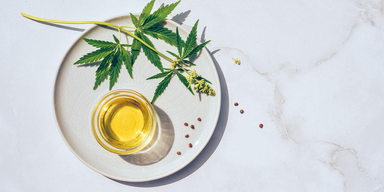 Cannabis Resin Guide: Types, Uses and How To Use It