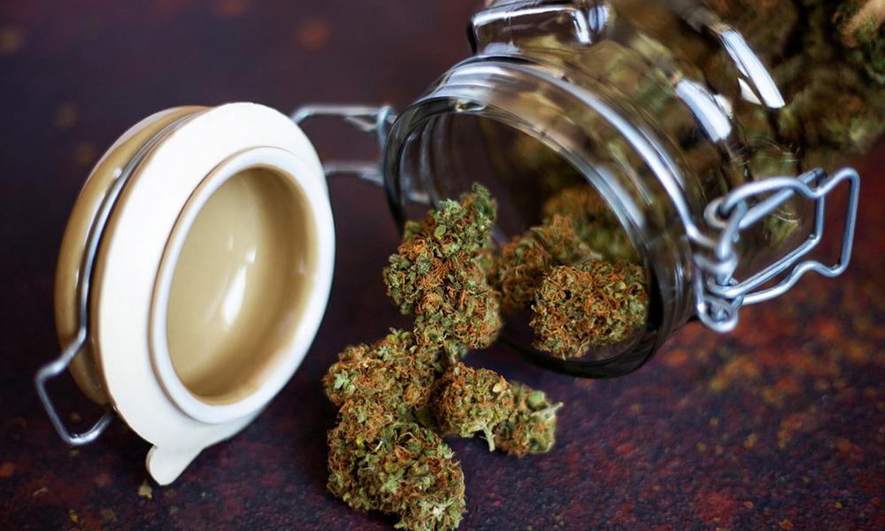 Best CBD Strains: A Guide to High CBD Flower