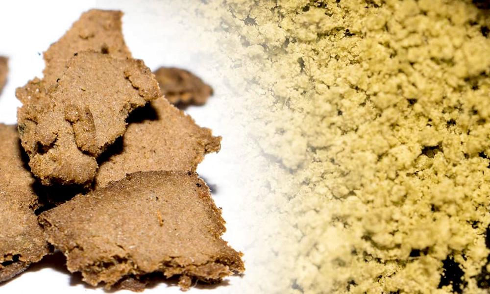 What Is Bubble Hash? How It's Made, Potency and How to Smoke It