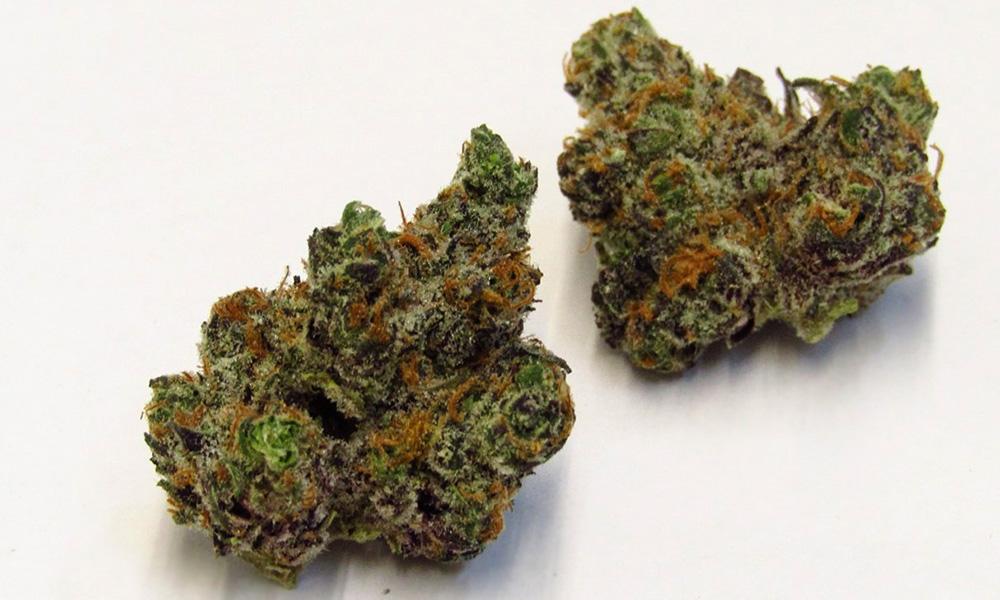 Best Indica Marijuana Strains 2022