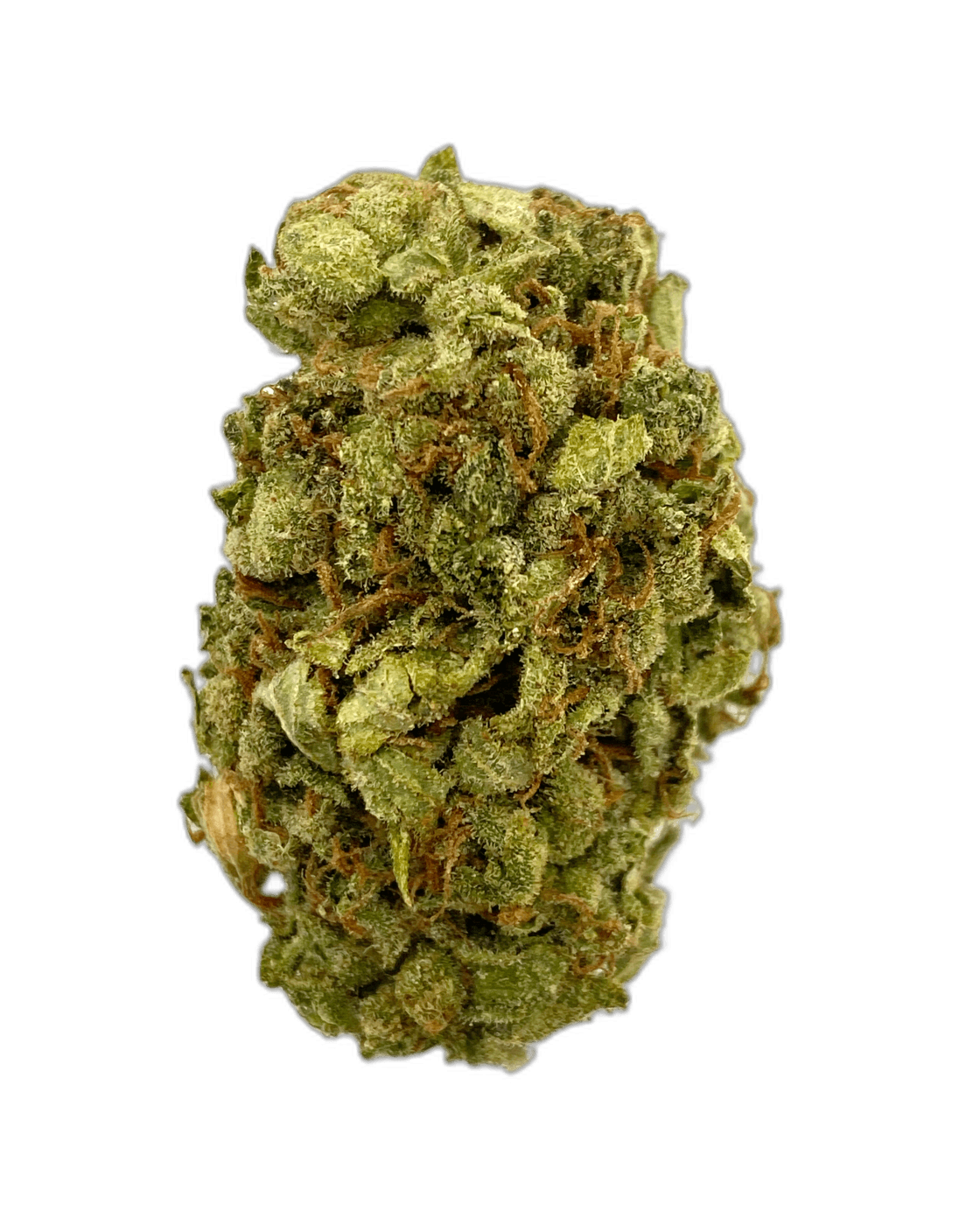 Mango OG Sativa