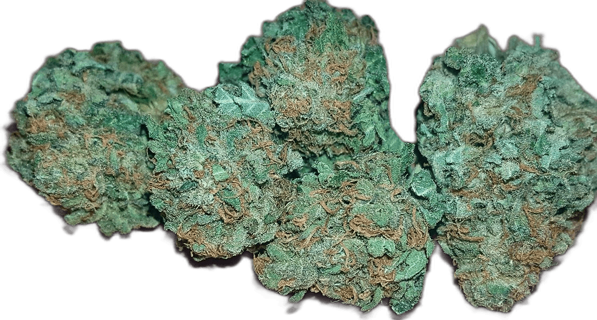 Alien OG