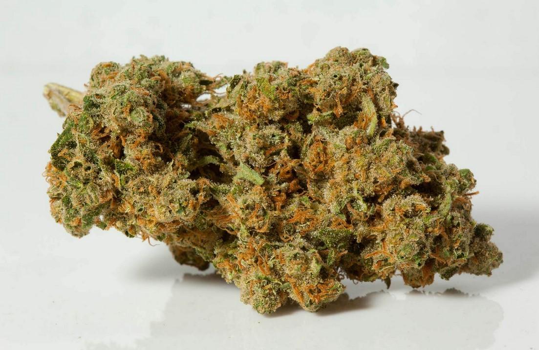 Blue Ivy Marijuana Strain Review: Effects and Flavor