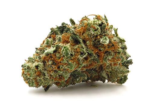 Bubblicious Cannabis Strain Review: Sweet and Mellow