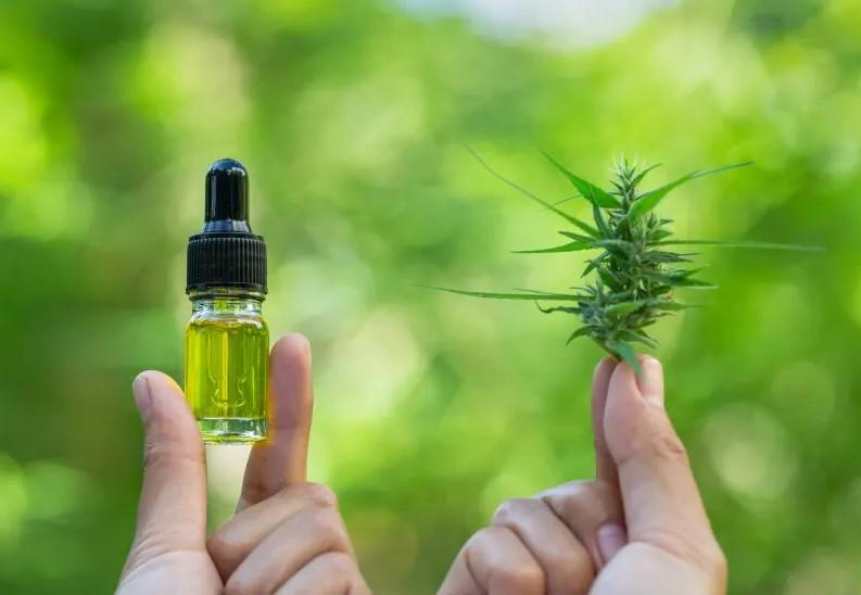 Best CBD Oil Brands for Pain Relief for 2022