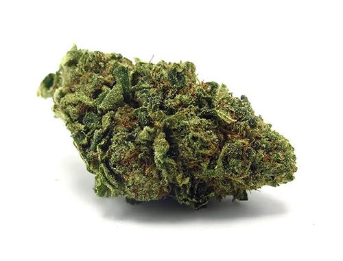 Death Star Strain Review: Gassy, Heavy Hybrid
